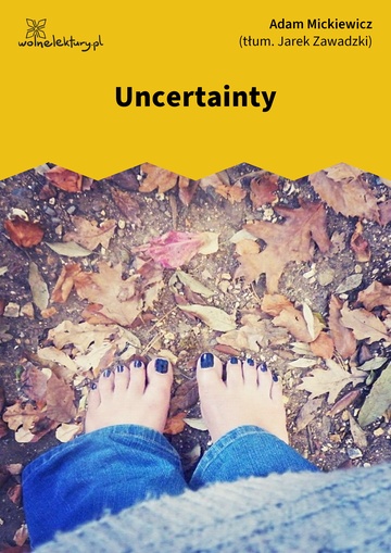 Uncertainty