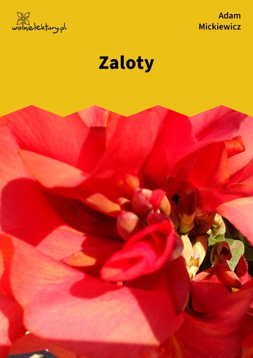 Zaloty