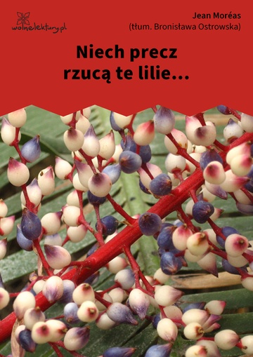 Niech precz rzucą te lilie...