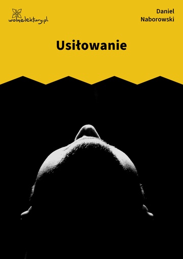 Usiłowanie