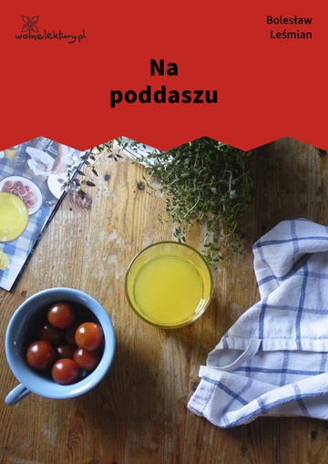 Na poddaszu