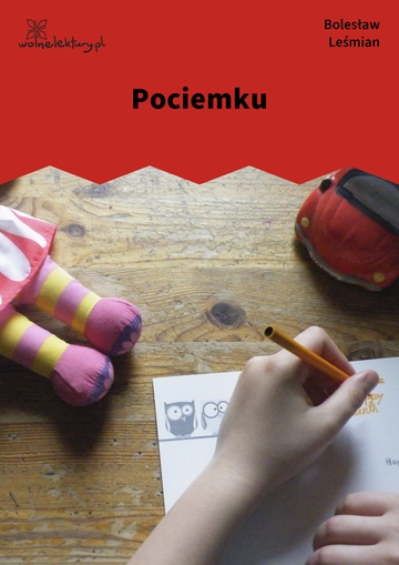 Pociemku