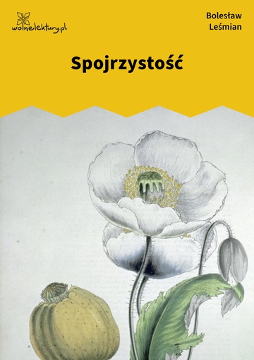 Spojrzystość