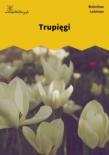 Trupięgi