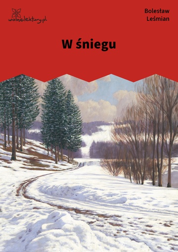 W śniegu