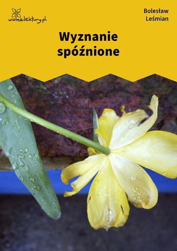 Wyznanie spóźnione