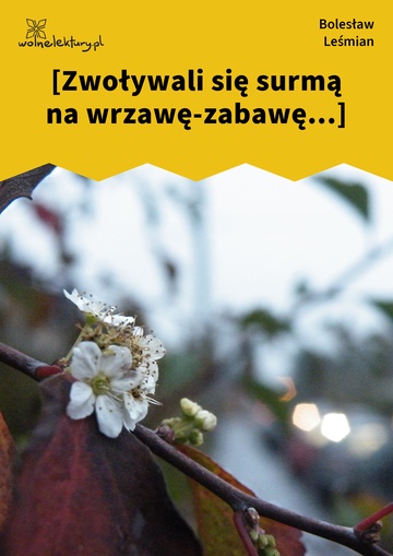 Bolesław Leśmian, Napój cienisty, Mimochodem (cykl), [Zwoływali się surmą na wrzawę-zabawę...]