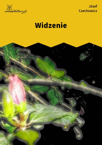 Widzenie