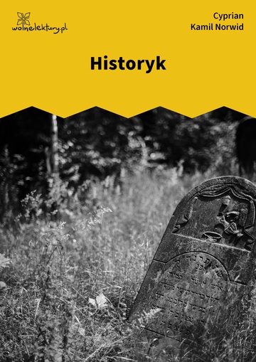 Cyprian Kamil Norwid, Historyk