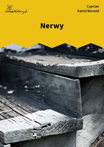 Nerwy