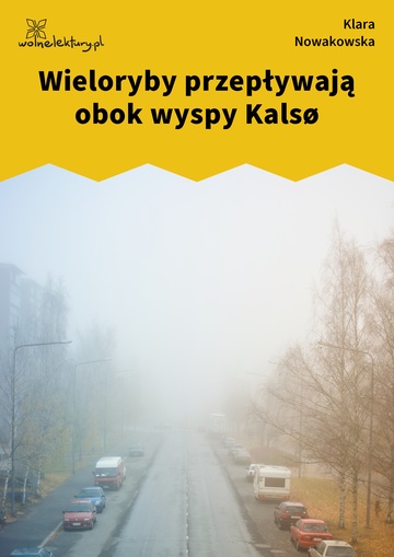 Klara Nowakowska, Niska rozdzielczość, Wieloryby przepływają obok wyspy Kalsø