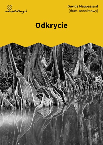 Odkrycie