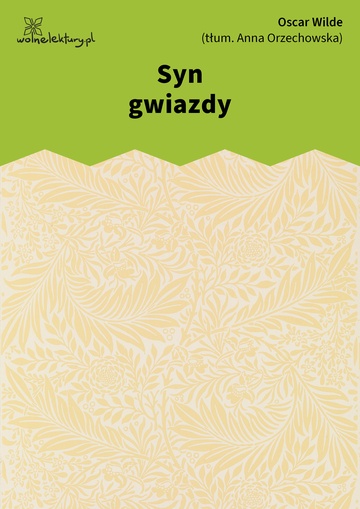 Oscar Wilde, Szczęśliwy książę i inne baśnie, Syn gwiazdy