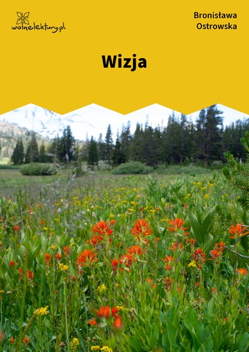 Wizja