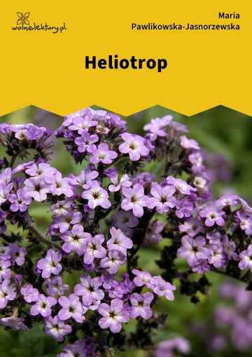 Heliotrop