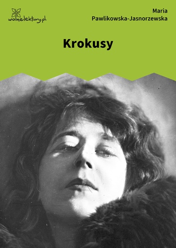 Krokusy