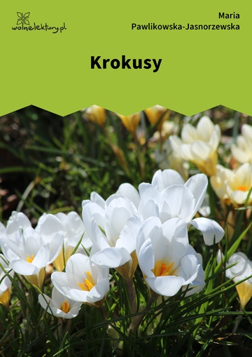 Krokusy