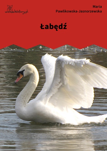 Łabędź