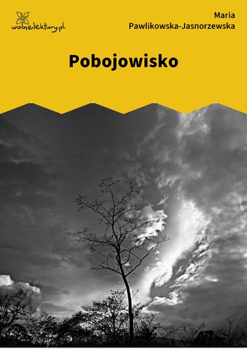 Pobojowisko