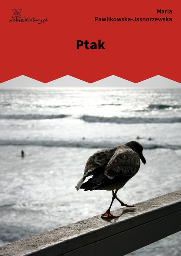 Ptak