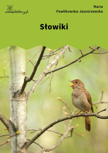 Słowiki