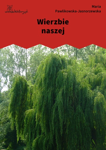 Wierzbie naszej