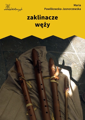 zaklinacze węży