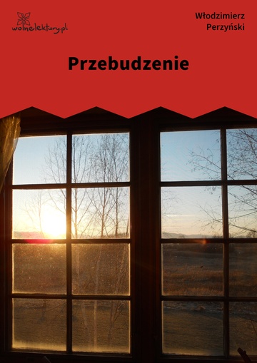 Włodzimierz Perzyński, Przebudzenie