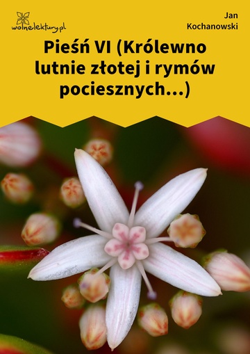 Jan Kochanowski, Pieśni, Księgi wtóre, Pieśń VI (Królewno lutnie złotej i rymów pociesznych...)