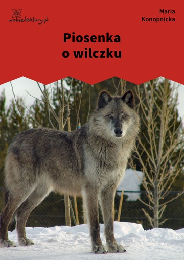 Maria Konopnicka, Poezje dla dzieci do lat 7, część I, Piosenka o wilczku