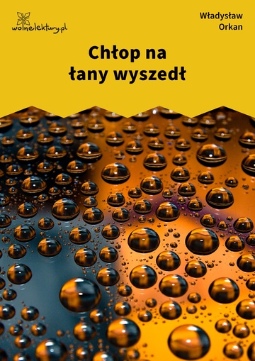 Chłop na łany wyszedł