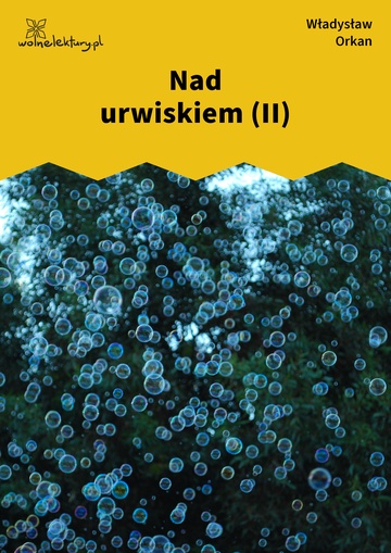 Nad urwiskiem (II)