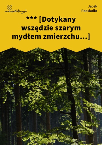 Jacek Podsiadło, Wychwyt Grahama, *** [Dotykany wszędzie szarym mydłem zmierzchu...]