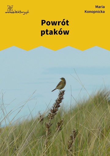 Powrót ptaków