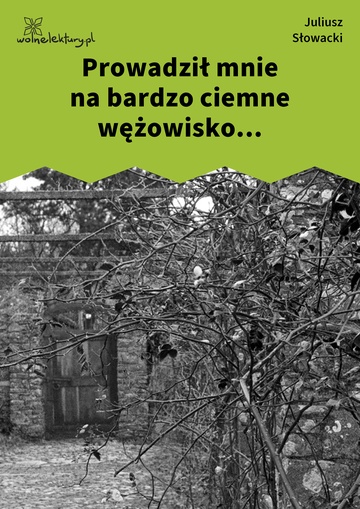 Juliusz Słowacki, Prowadził mnie na bardzo ciemne wężowisko...