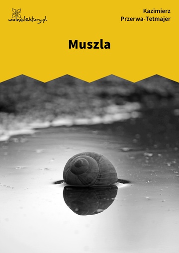 Muszla