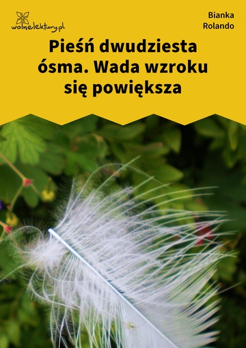 Bianka Rolando, Biała książka, Niebo, Pieśń dwudziesta ósma. Wada wzroku się powiększa