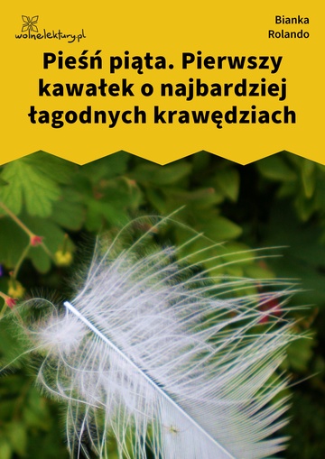 Bianka Rolando, Biała książka, Niebo, Pieśń piąta. Pierwszy kawałek
o najbardziej łagodnych krawędziach