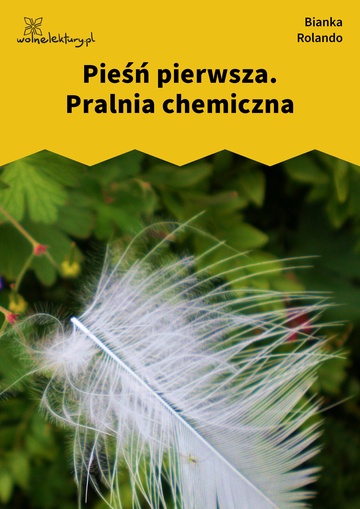 Bianka Rolando, Biała książka, Czyściec, Pieśń pierwsza. Pralnia chemiczna