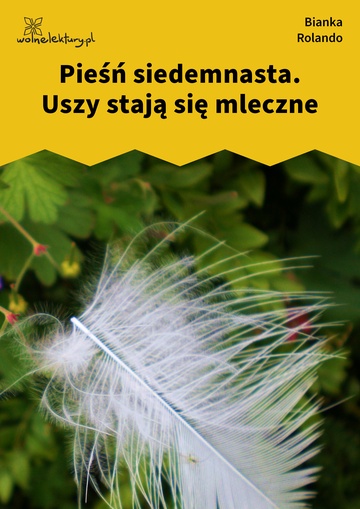 Bianka Rolando, Biała książka, Niebo, Pieśń siedemnasta. Uszy stają się mleczne