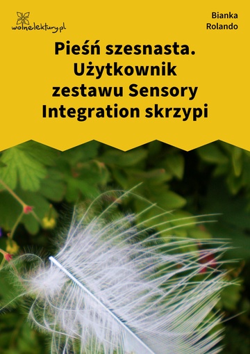 Bianka Rolando, Biała książka, Czyściec, Pieśń szesnasta. Użytkownik zestawu Sensory Integration skrzypi