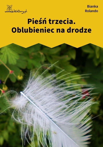 Bianka Rolando, Biała książka, Niebo, Pieśń trzecia. Oblubieniec na drodze