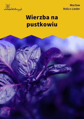 Wierzba na pustkowiu