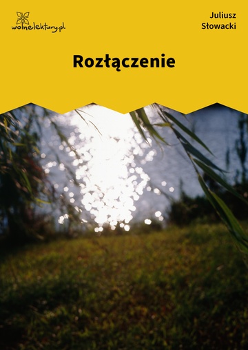 Rozłączenie