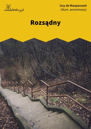 Rozsądny