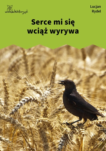 Serce mi się wciąż wyrywa