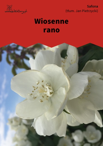 Wiosenne rano