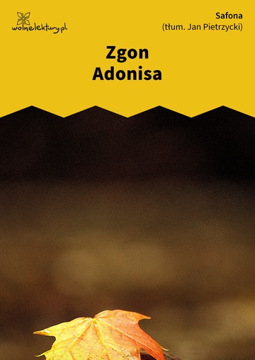 Zgon Adonisa