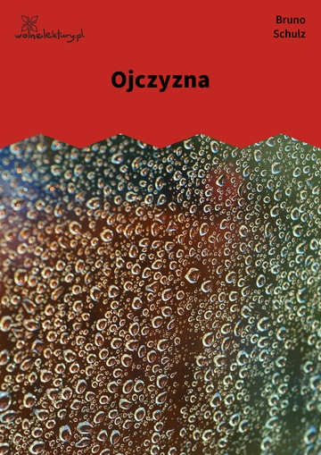 Ojczyzna