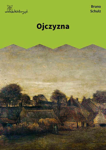 Bruno Schulz, Ojczyzna